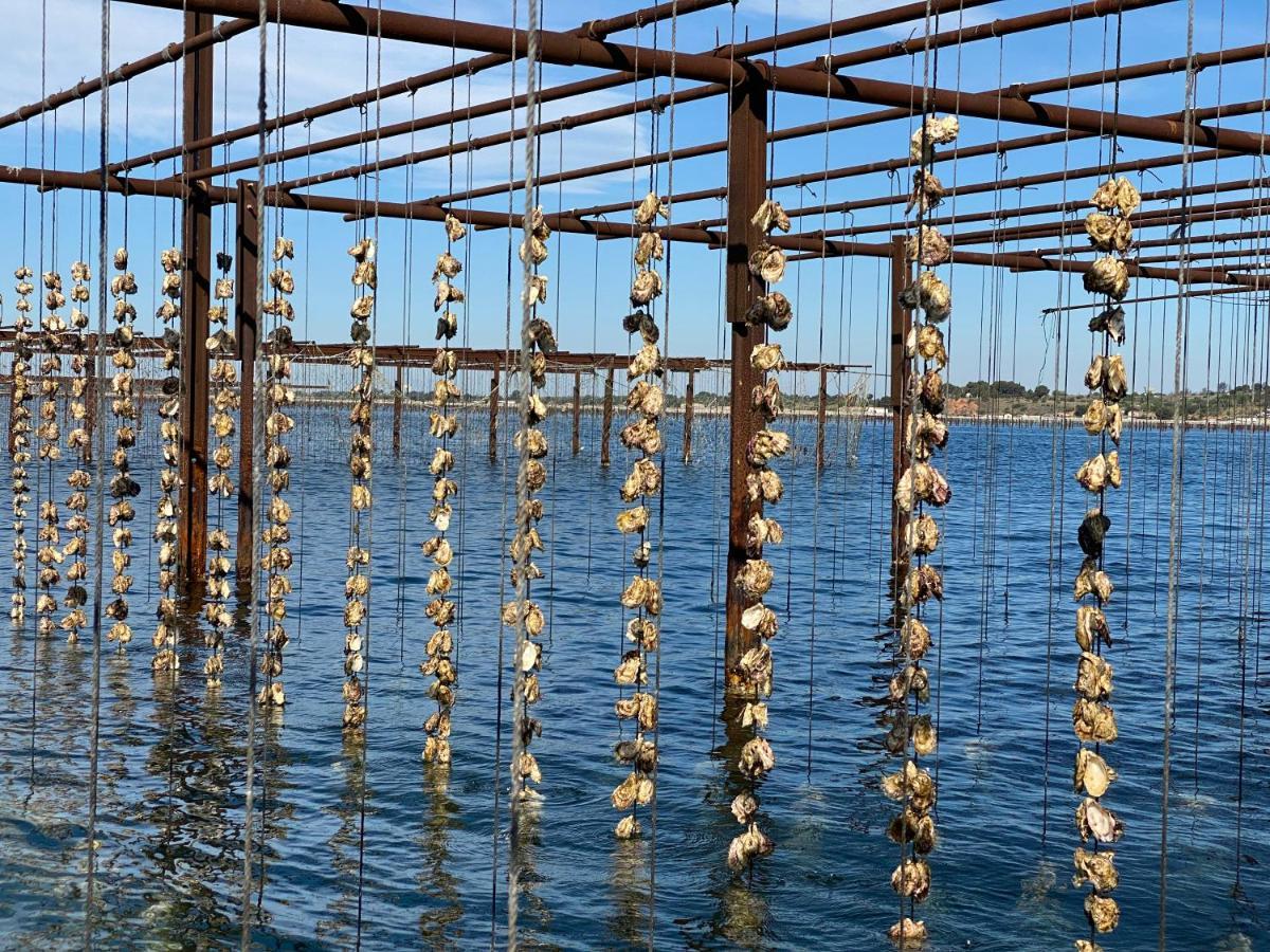 Chats Perches Bouzigues Εξωτερικό φωτογραφία